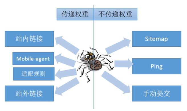 搜索引擎蜘蛛